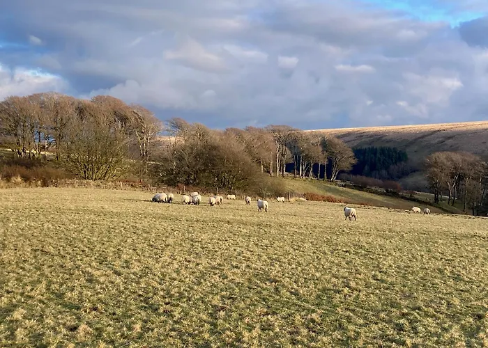 Emmetts On Exmoor - A West Country Experience